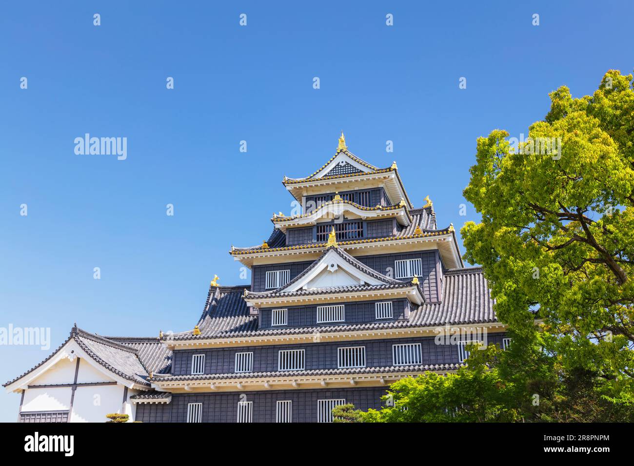 Le Keep du château d'Okayama Banque D'Images