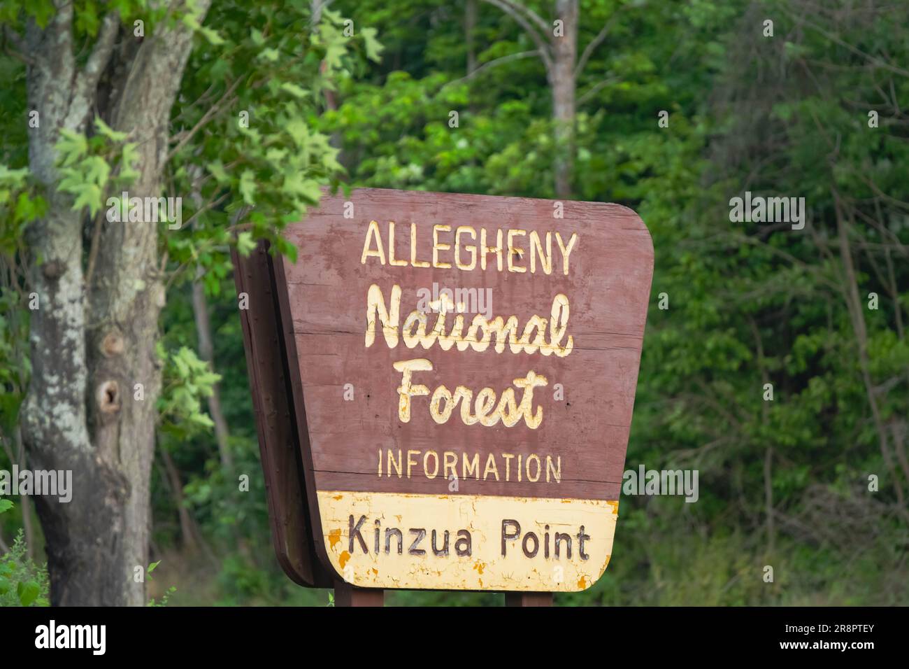 Forêt nationale Allegheny Kinzua point, copie espace voyage destination de vacances Pa USA Banque D'Images