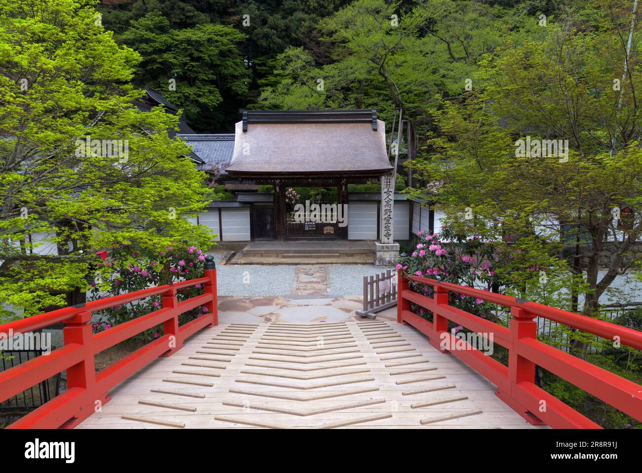 Temple de Muroji avec rhododendron en fleur Banque D'Images