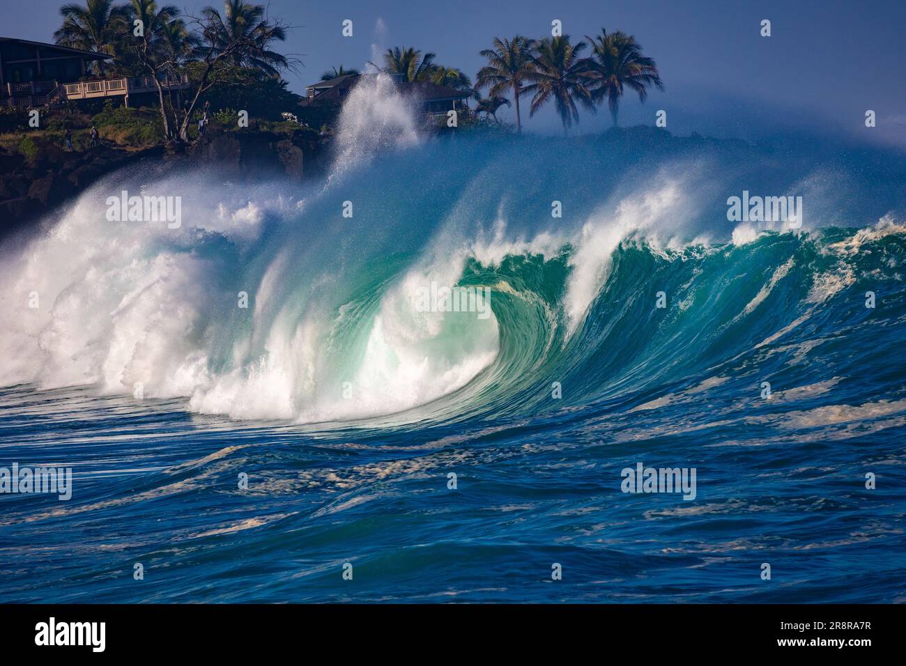 Wave, Waimea Bay, North Shore, Oahu, Hawaï Banque D'Images