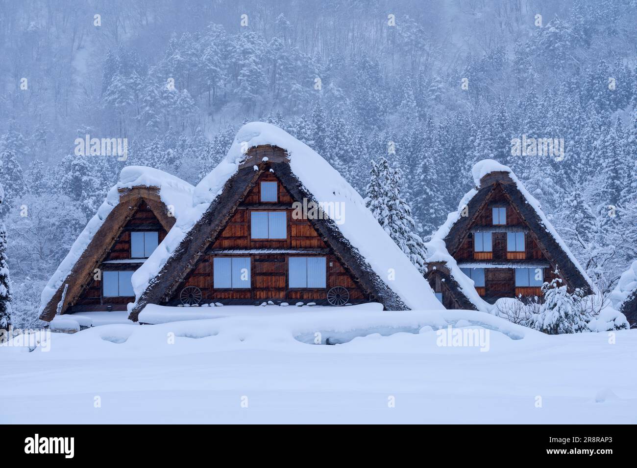 Shirakawa-Go enneigé Banque D'Images