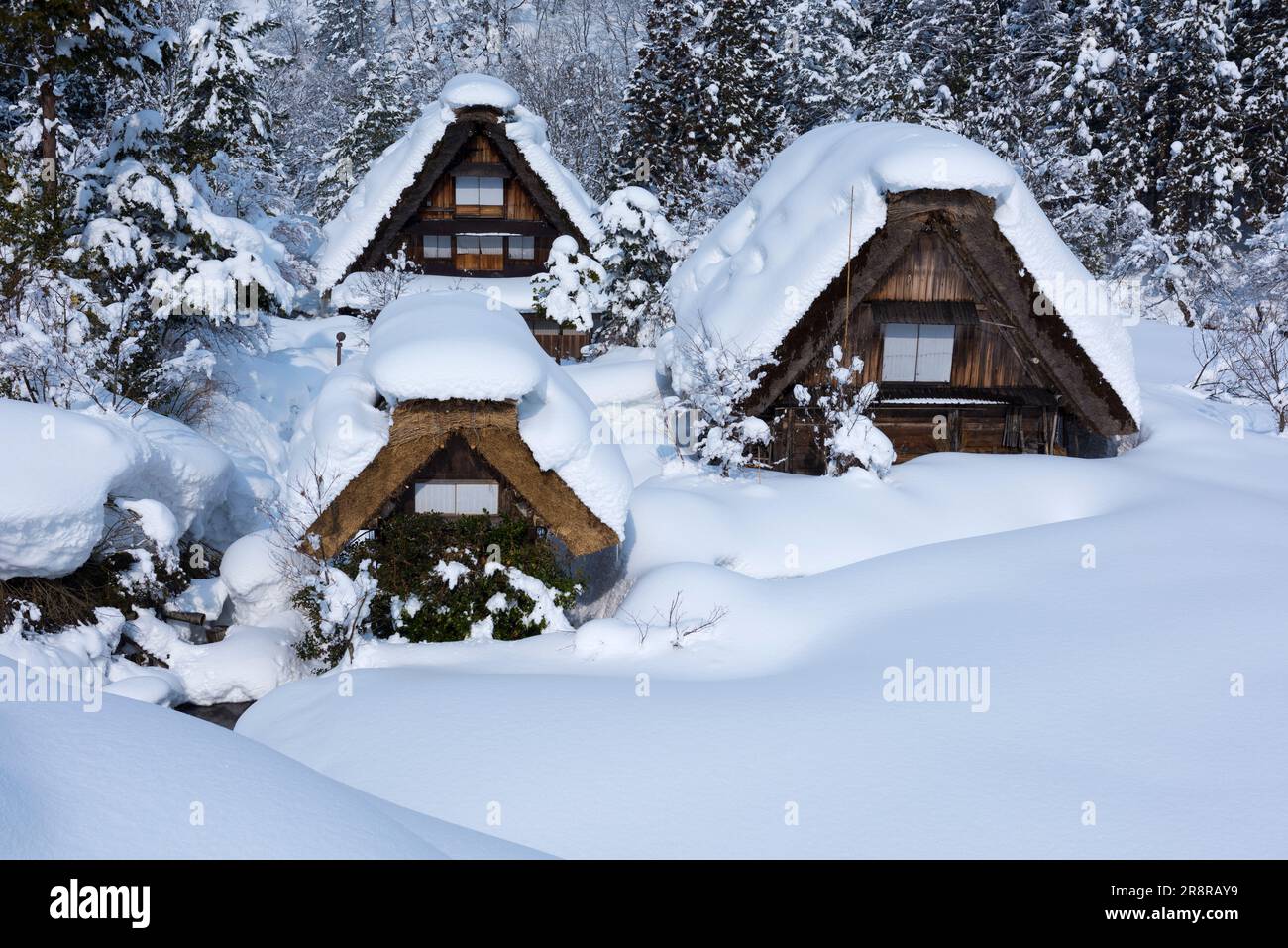 Shirakawa-Go enneigé Banque D'Images