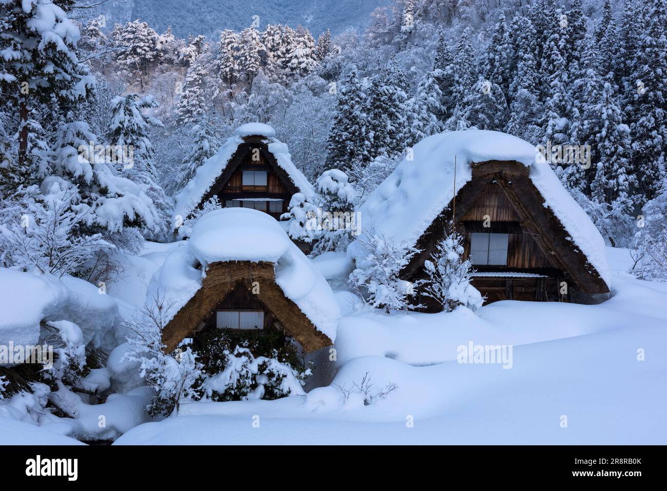 Shirakawa-Go enneigé Banque D'Images