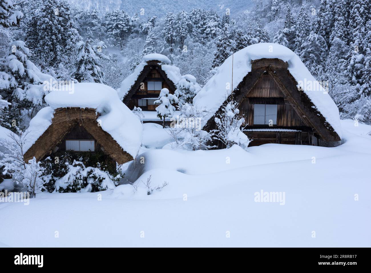 Shirakawa-Go enneigé Banque D'Images