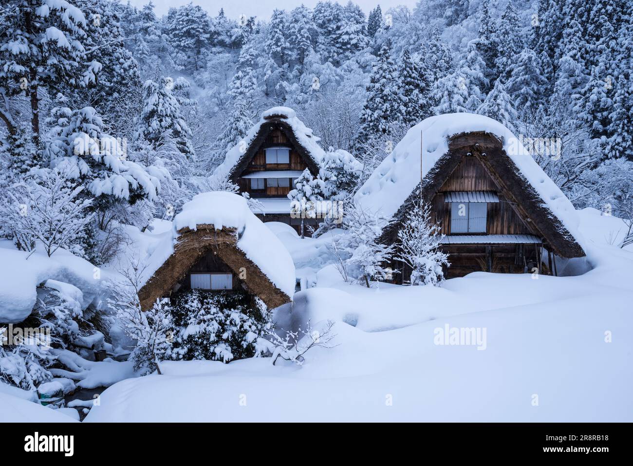 Shirakawa-Go enneigé Banque D'Images