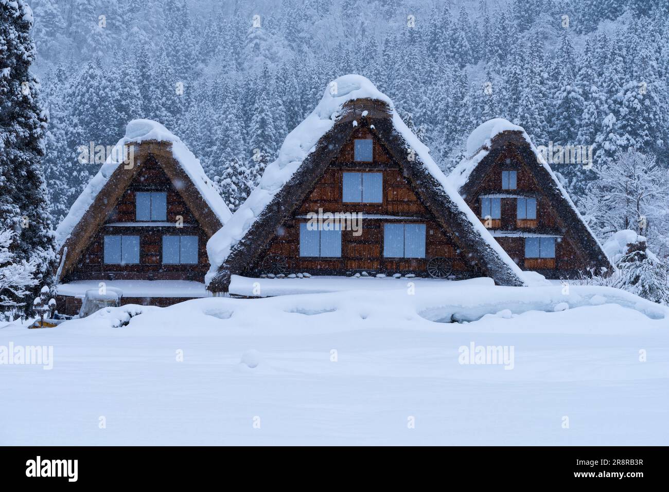 Shirakawa-Go enneigé Banque D'Images