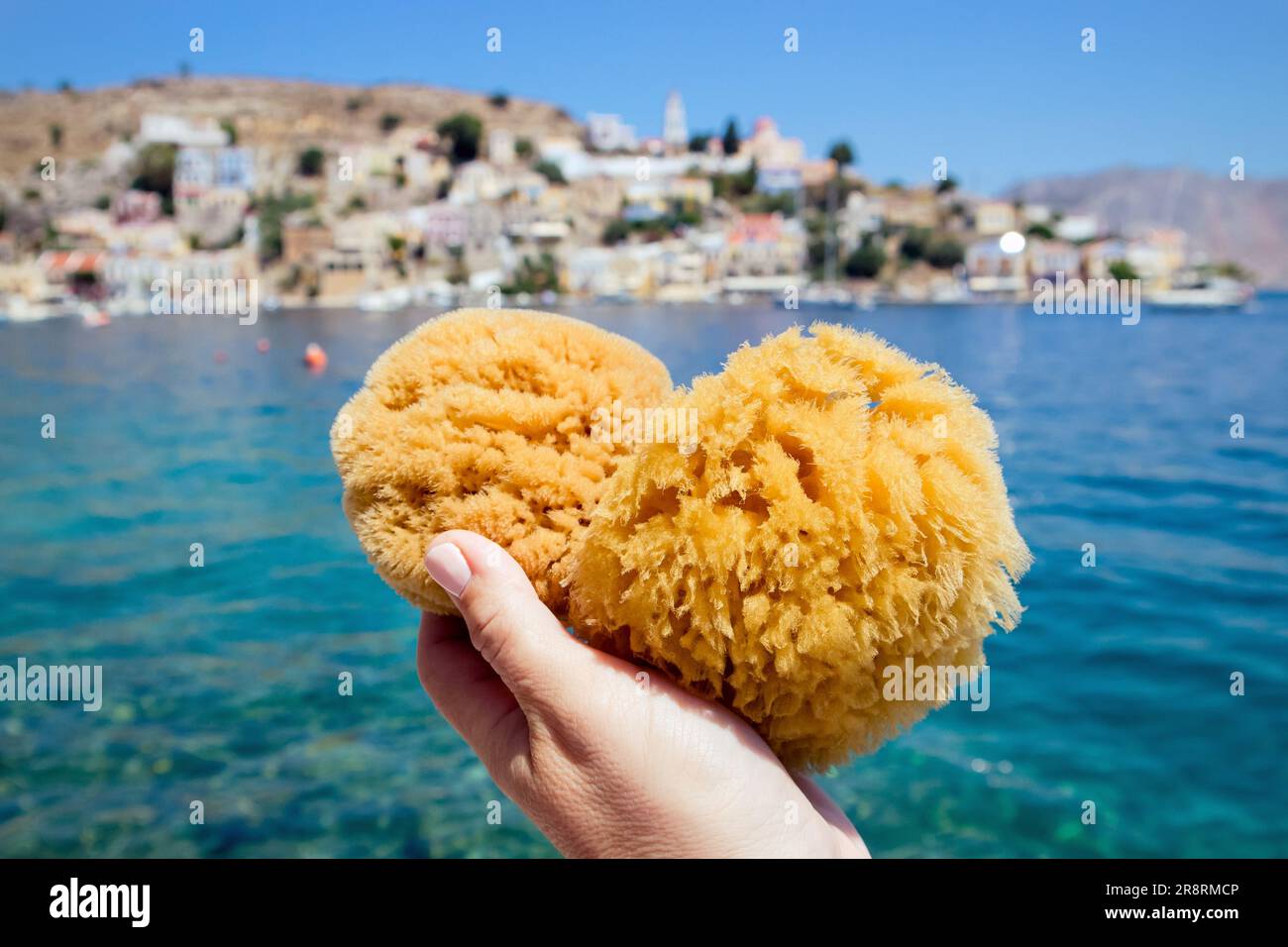 Personne touristique tenant une éponge de mer grecque de l'île de Symi, avec la ville de Symi en arrière-plan le jour d'été ensoleillé. Symi est populaire pour son éponge de mer. Banque D'Images