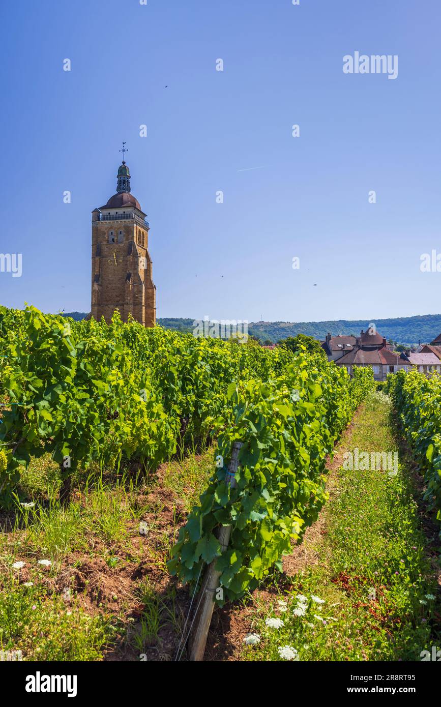 Vignobles avec église Arbois, département Jura, Franche-Comté, France Banque D'Images