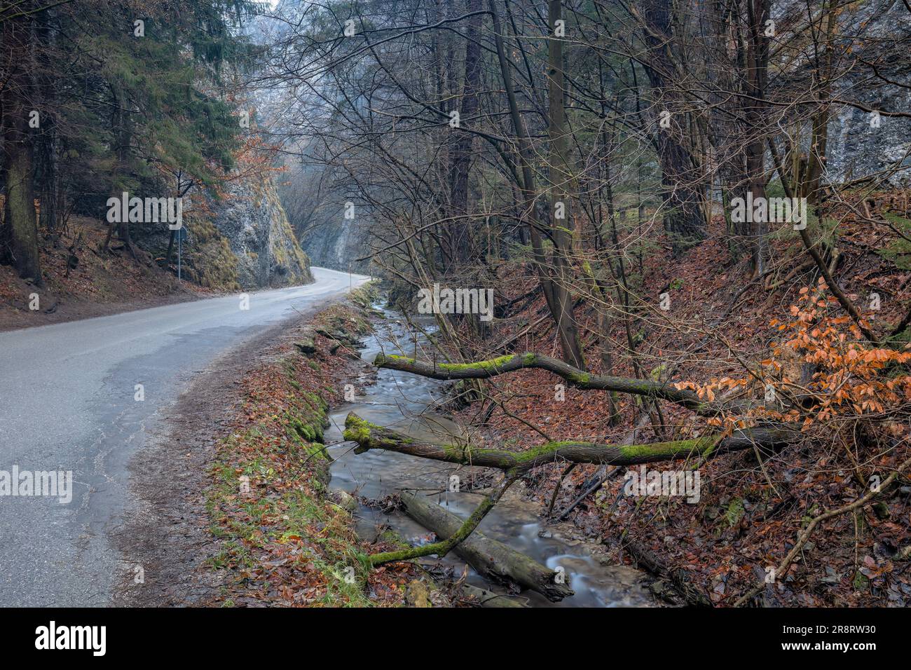 Une route menant à travers un détroit rocheux. La gorge de Maninska dans le nord-ouest de la Slovaquie, en Europe. Banque D'Images