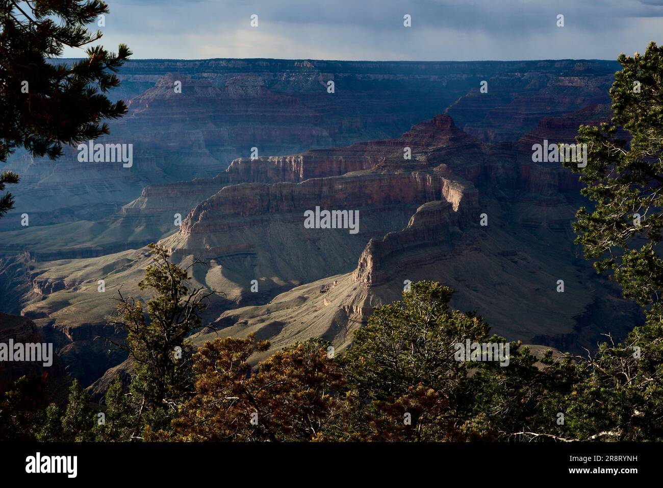 Vue en fin d'après-midi depuis le plateau sud du Grand Canyon Arizona USA Banque D'Images