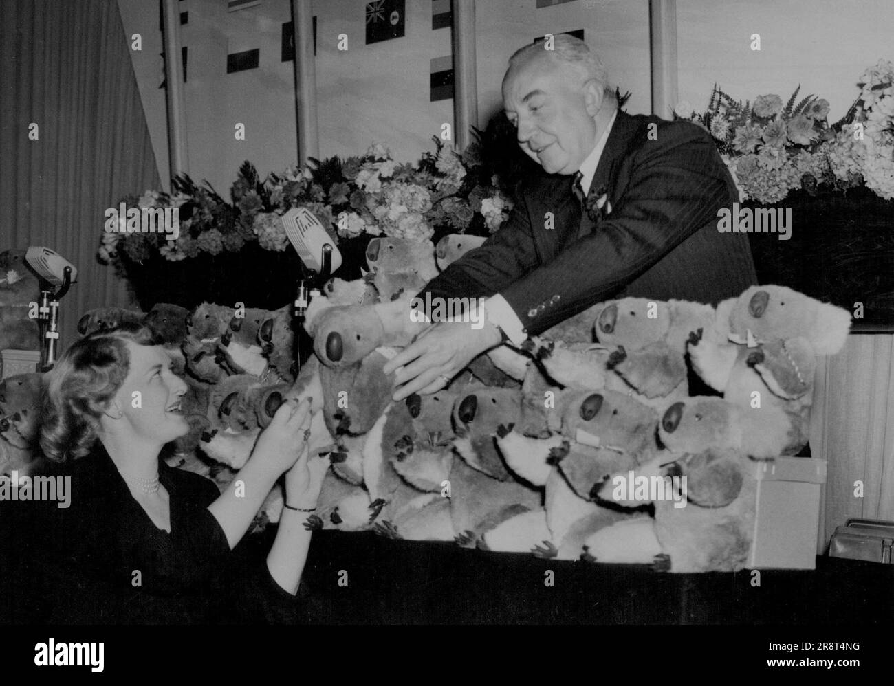 Ours en peluche pour les délégués de la conférence aérienne. Sir Miles Thomas, président de la British Overseas Airways Corporation et président de la Conférence, choisit un ours kola australien jouet et le présente à Mlle Jean Telfer, de Montréal, lors d'une session de la conférence de l'Association internationale du transport aérien à l'école Westminster. Les entendent, donnés par Quantas Airlines, ont été présentés aux délégués à la réunion. 11 septembre 1951. Banque D'Images