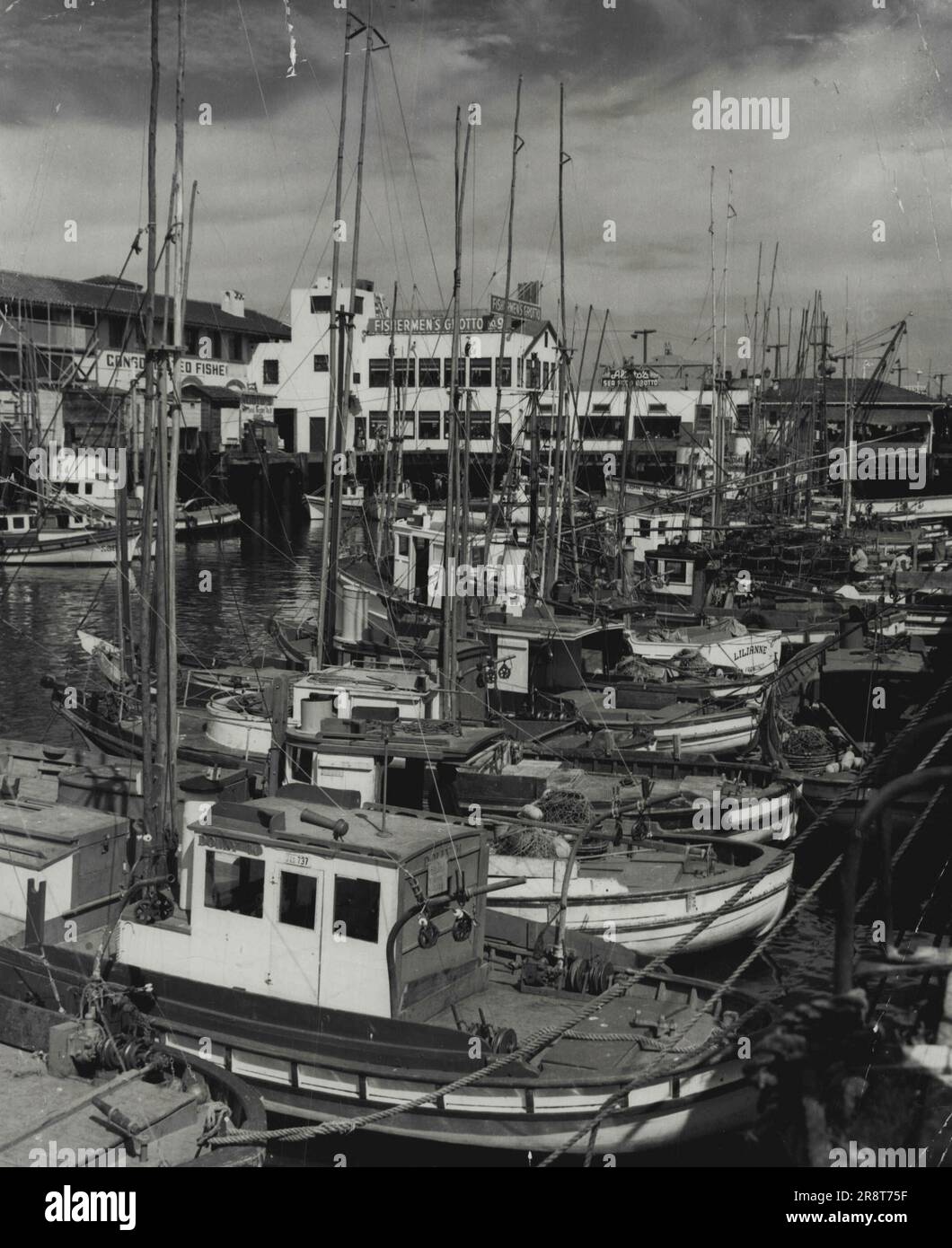 Vue panoramique de Fishermans Wharf montrant tous les types de bateaux de pêche, avec café 'Fishermans Grotto' en arrière-plan. 3 novembre 1949. Banque D'Images