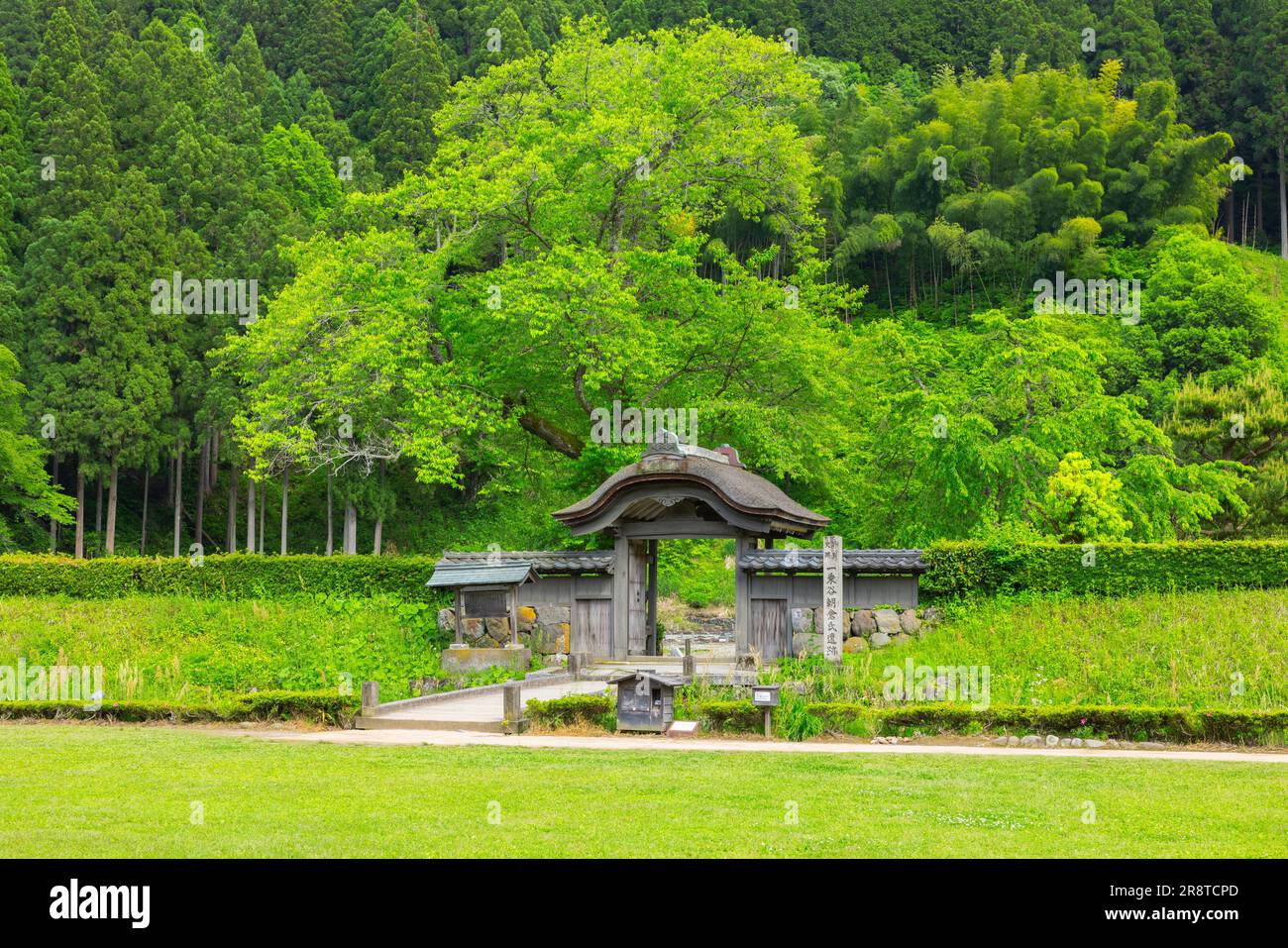 Ichijodani Asakura clans ruines en vert frais Banque D'Images