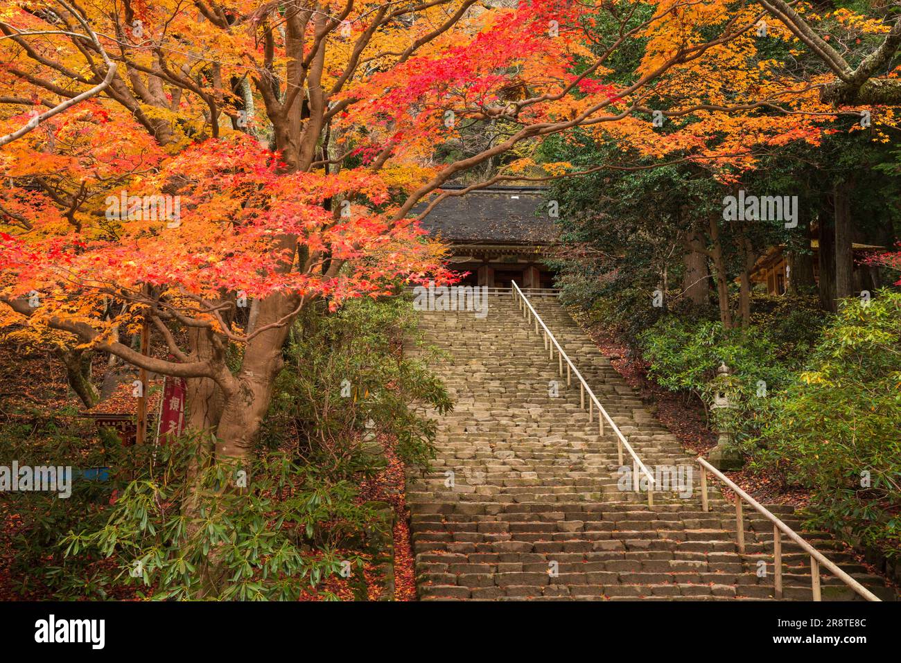 Temple de Muroji en automne Banque D'Images