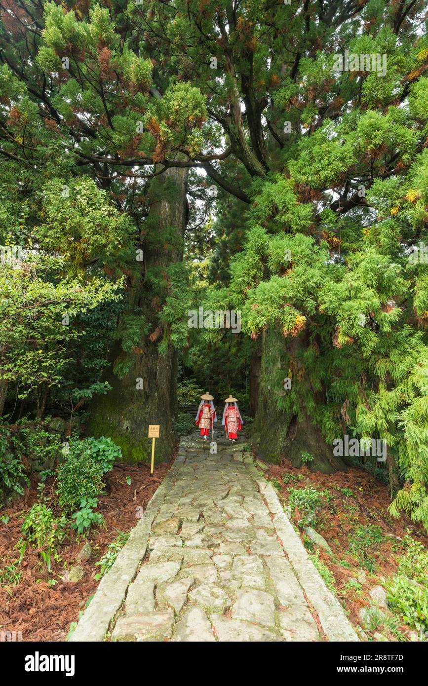 Les femmes marchant sur les marches de la route de pèlerinage de Daimonzaka vêtues de costumes d'époque de Heian Banque D'Images