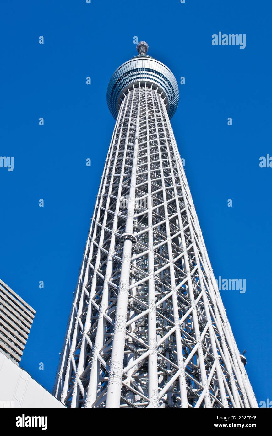 Tour Skytree de Tokyo dominant un ciel bleu Banque D'Images