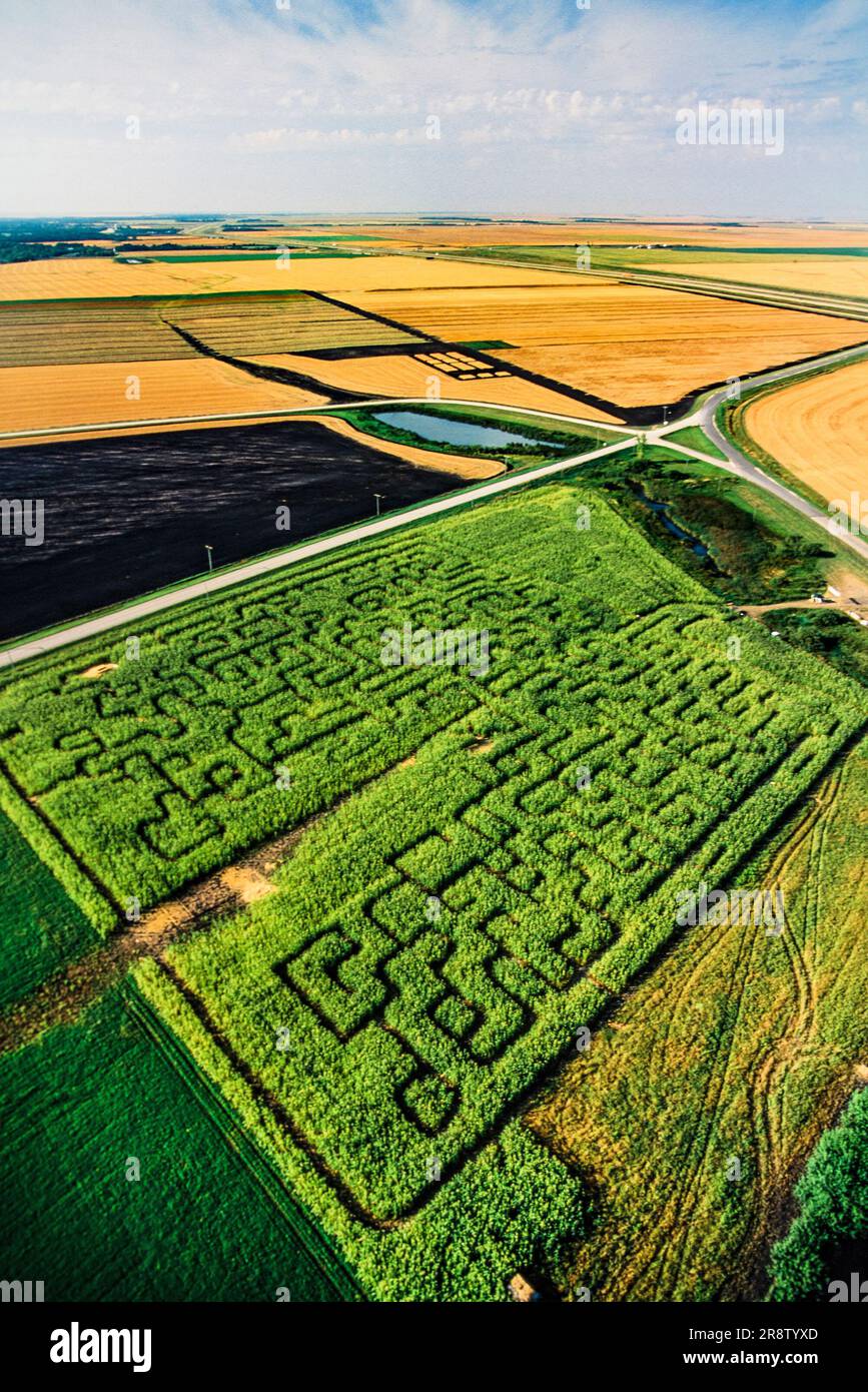 Antenne de labyrinthe de maïs, Manitoba, Canada Banque D'Images