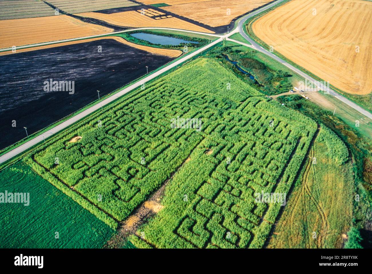 Antenne de labyrinthe de maïs, Manitoba, Canada Banque D'Images