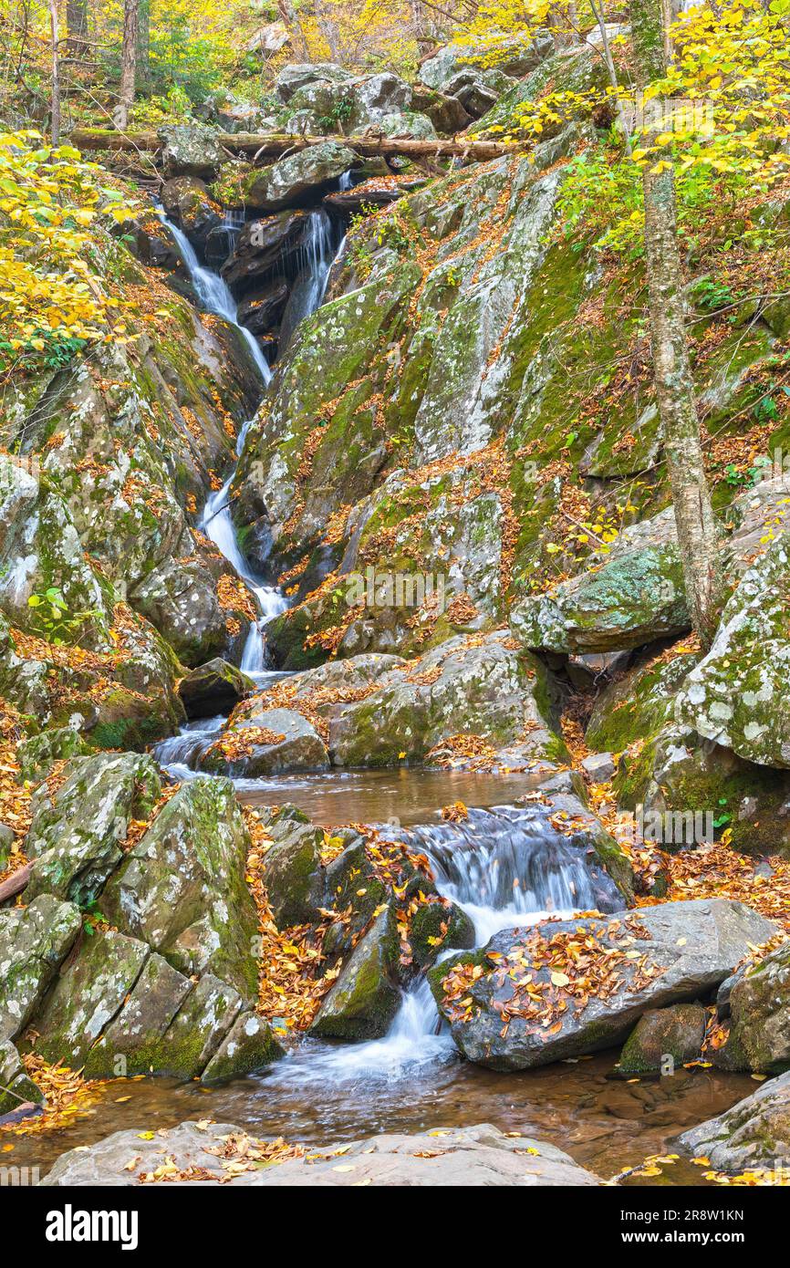 Cascade tranquille dans la forêt d'automne sur Rose Creek dans le parc national de Shenandoah en Virginie Banque D'Images