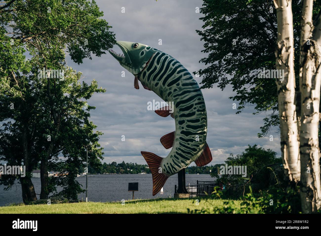 Kenora (Ontario), Canada - mai 2023 Huskie le Muskie mesure 40 mètres de haut. Photo de haute qualité Banque D'Images