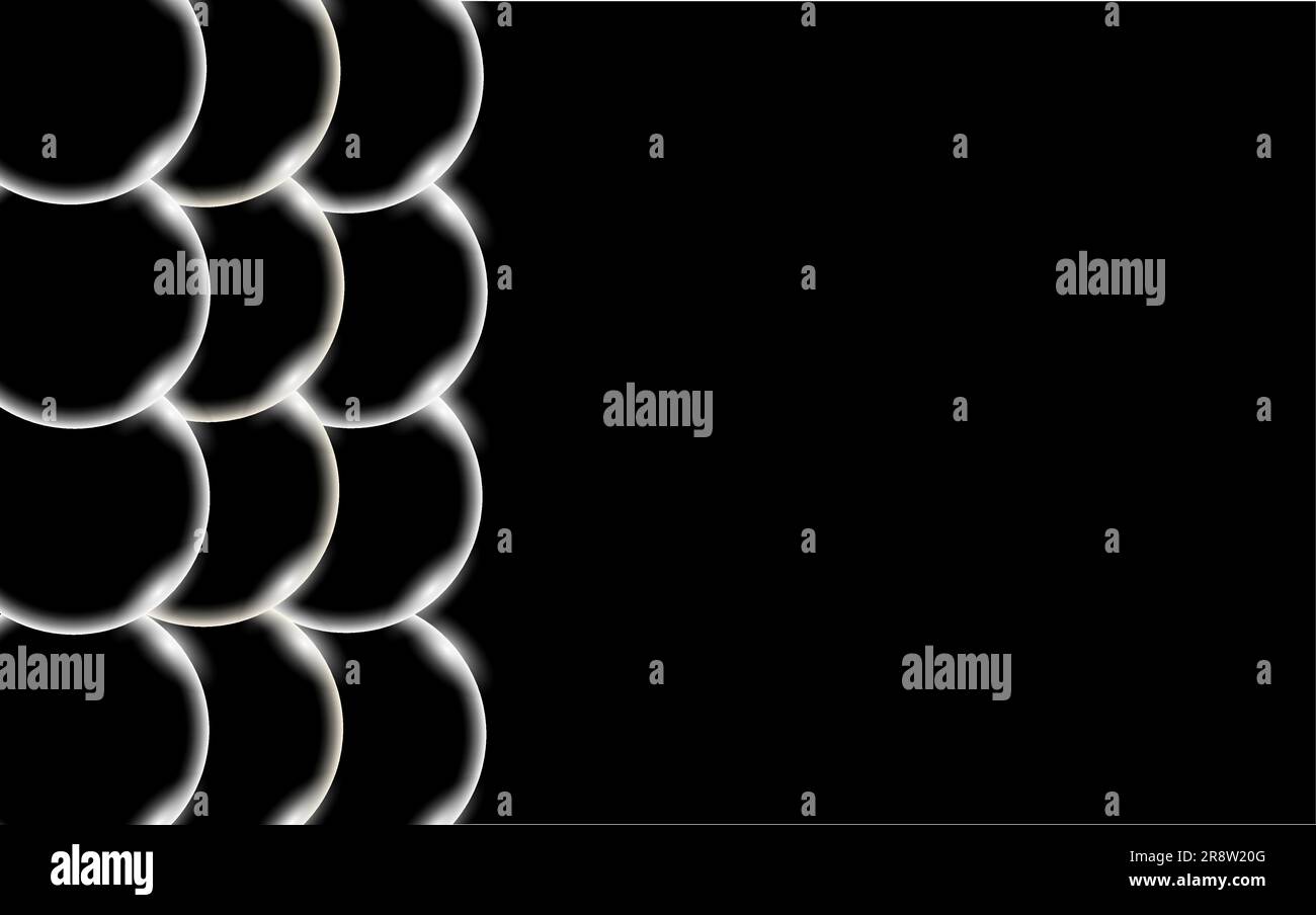 Transparent abstrait brillant beau et convexe lisse trois dimensions simples boules, bulles, cercles d'oeufs avec l'éblouissement de la lumière situé sur le côté de Illustration de Vecteur