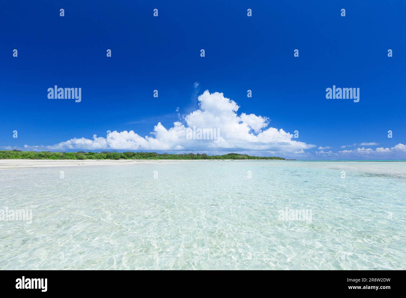 Plage de Kondoi Banque D'Images