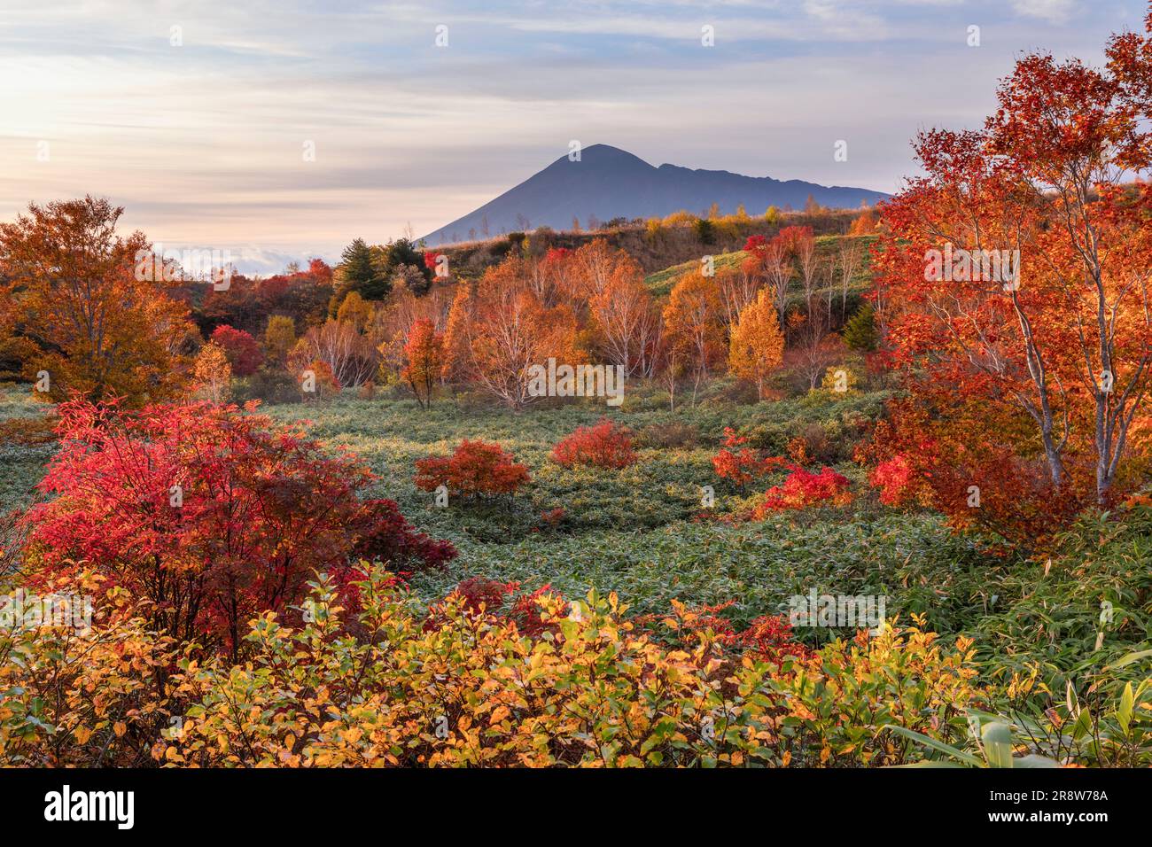 Mt. Feuilles d'Iwate et d'automne Banque D'Images