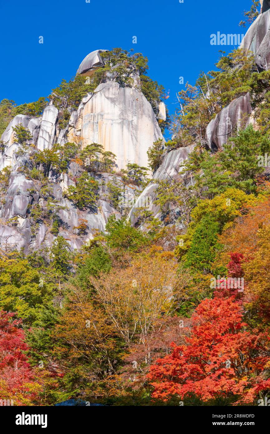 Kakuenbo à la gorge de Shosenkyo Banque D'Images