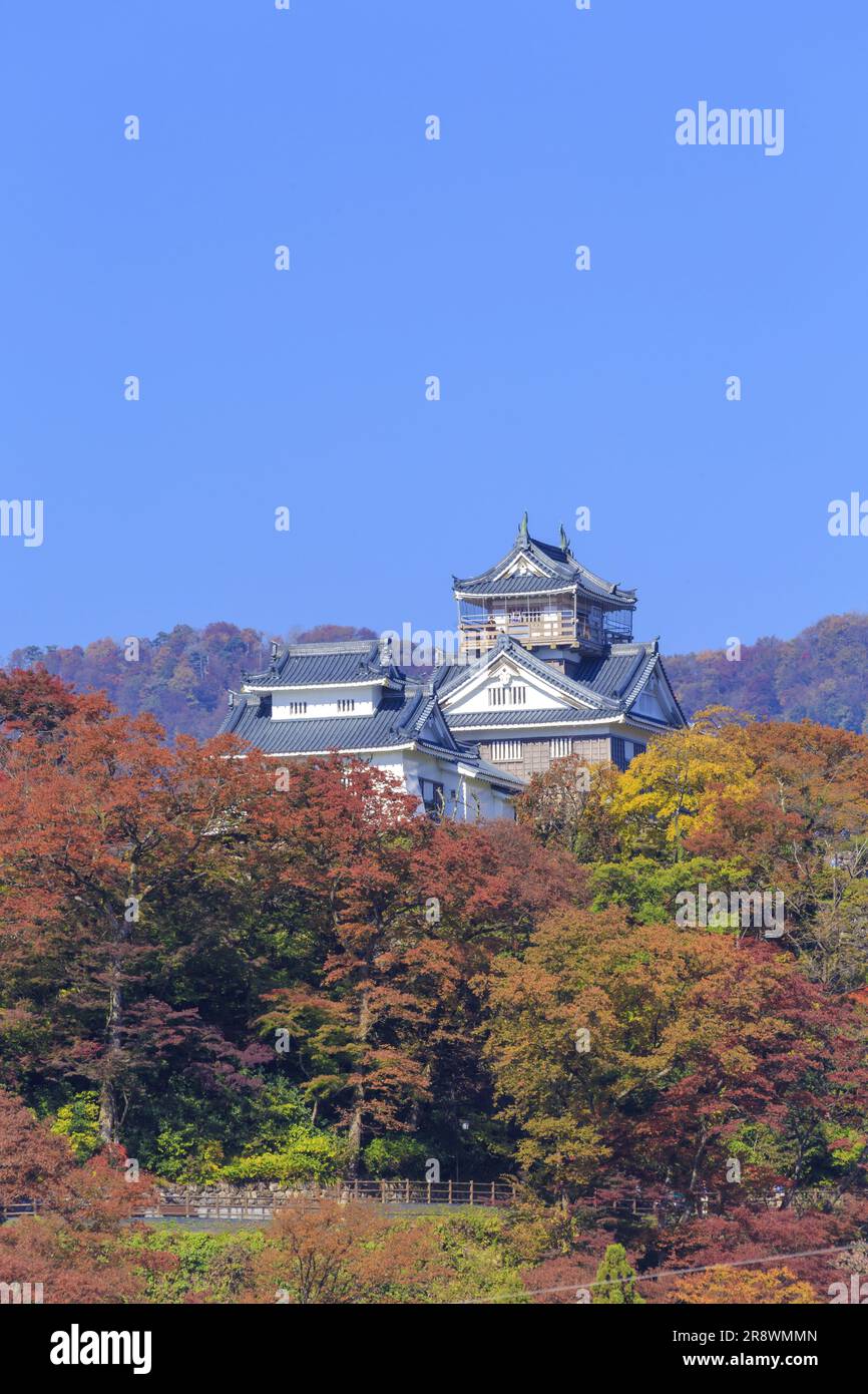 Château Echizen Ono en automne Banque D'Images