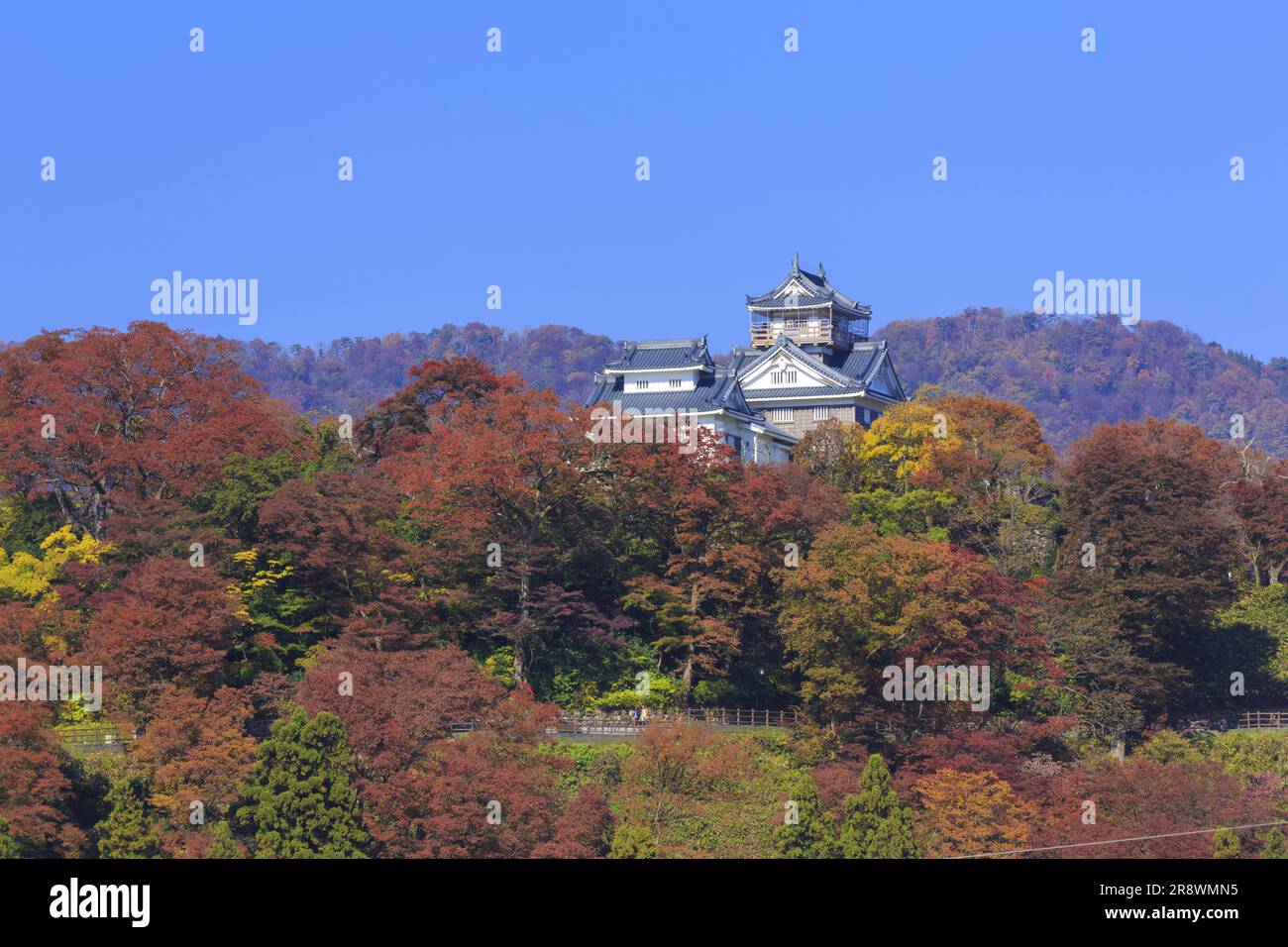 Château Echizen Ono en automne Banque D'Images