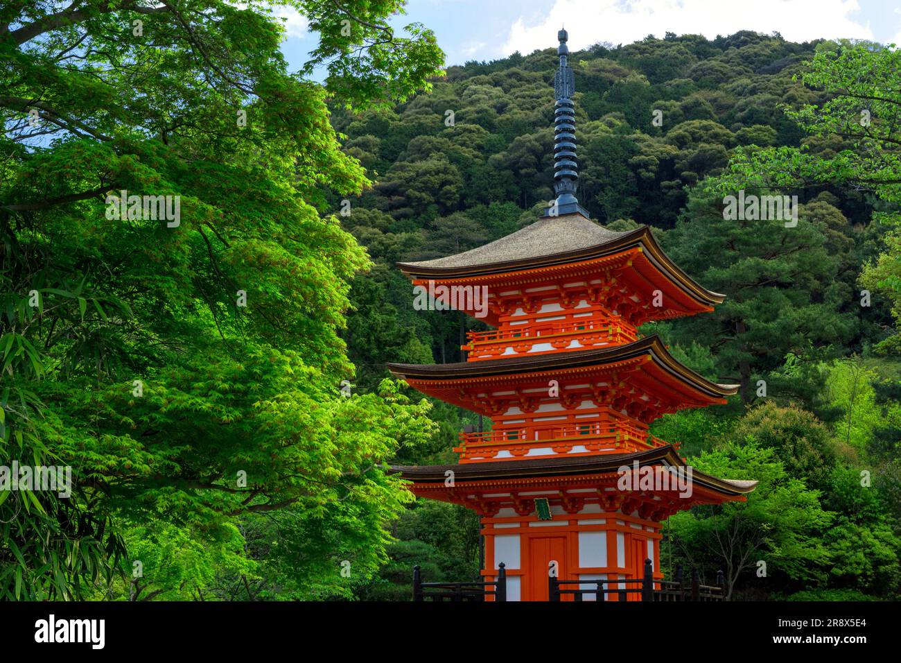 Kiyomizudera temple summer Banque de photographies et d’images à haute ...