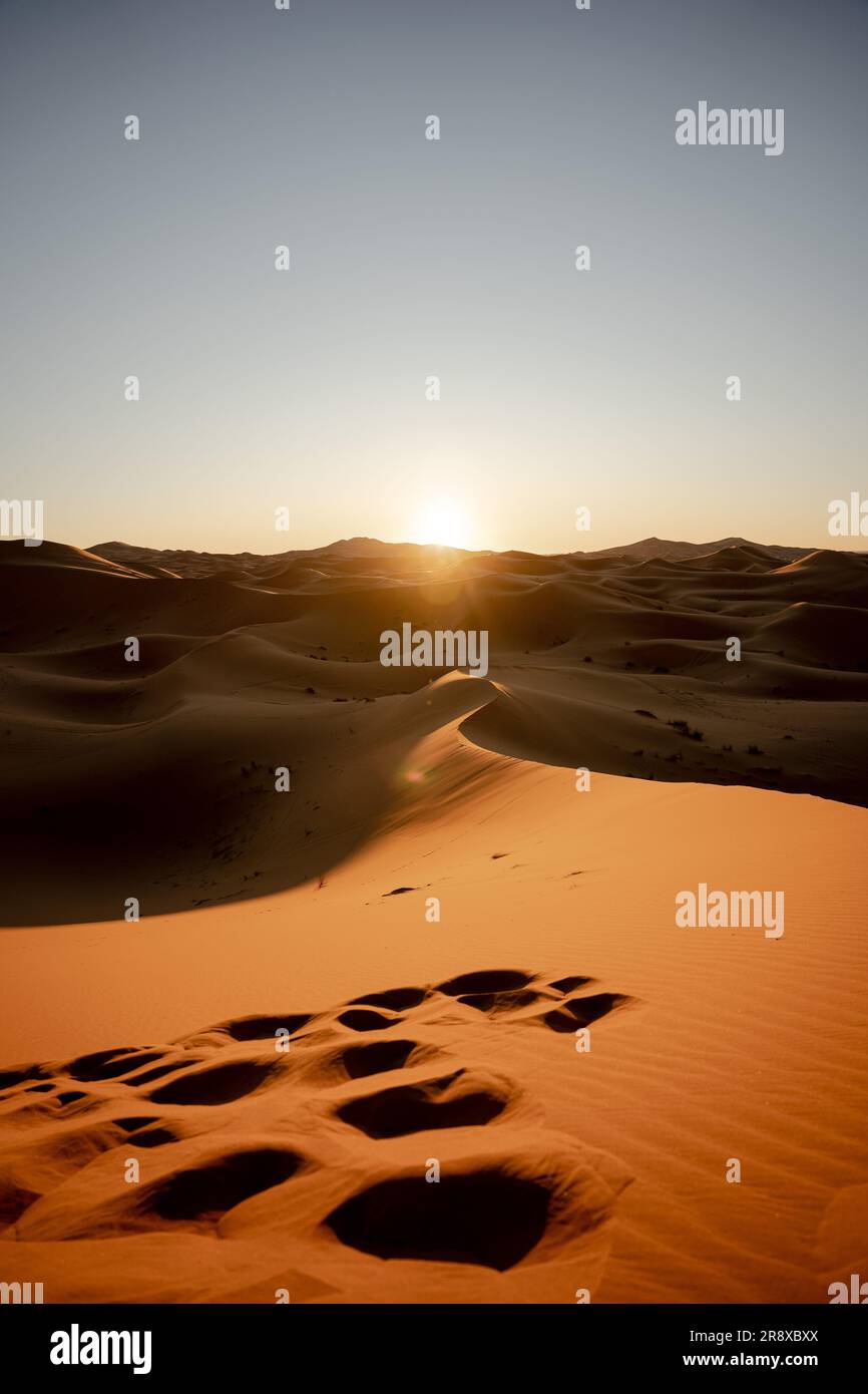 Une vaste étendue de dunes de sable désertiques, avec de petites traces de traces de pieds au premier plan Banque D'Images