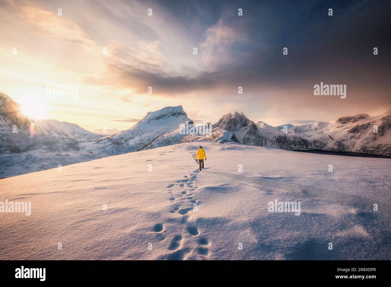 Paysage de lever de soleil au-dessus du mont Segla et randonnée alpiniste avec neige dans la tempête de neige sur le sommet de Fjordgard à l'île de Senja, en Norvège Banque D'Images