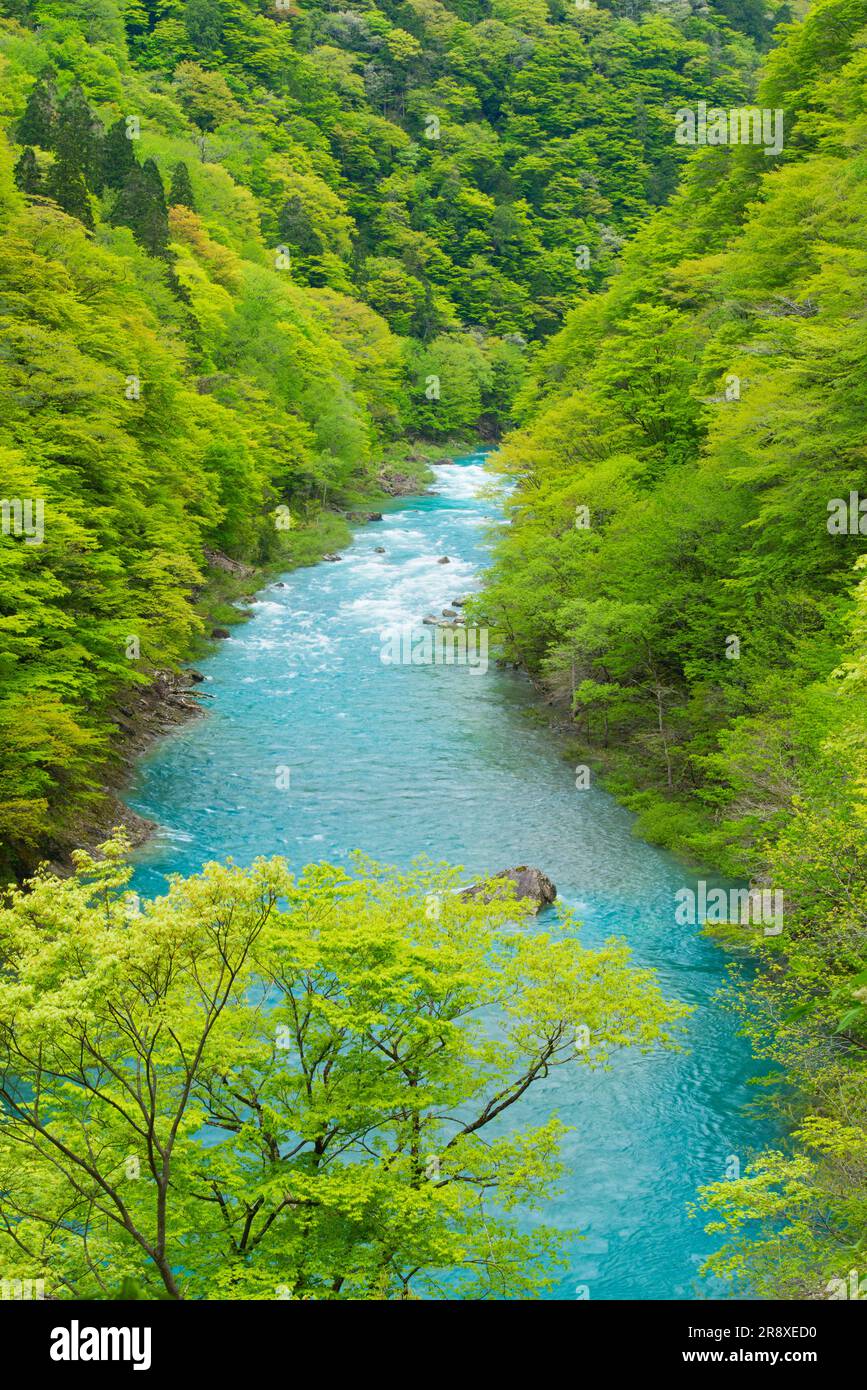 Vallée de Dakigaeri Banque D'Images