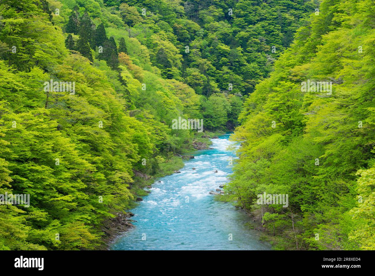 Vallée de Dakigaeri Banque D'Images