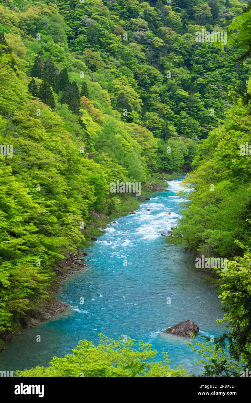 Vallée de Dakigaeri Banque D'Images