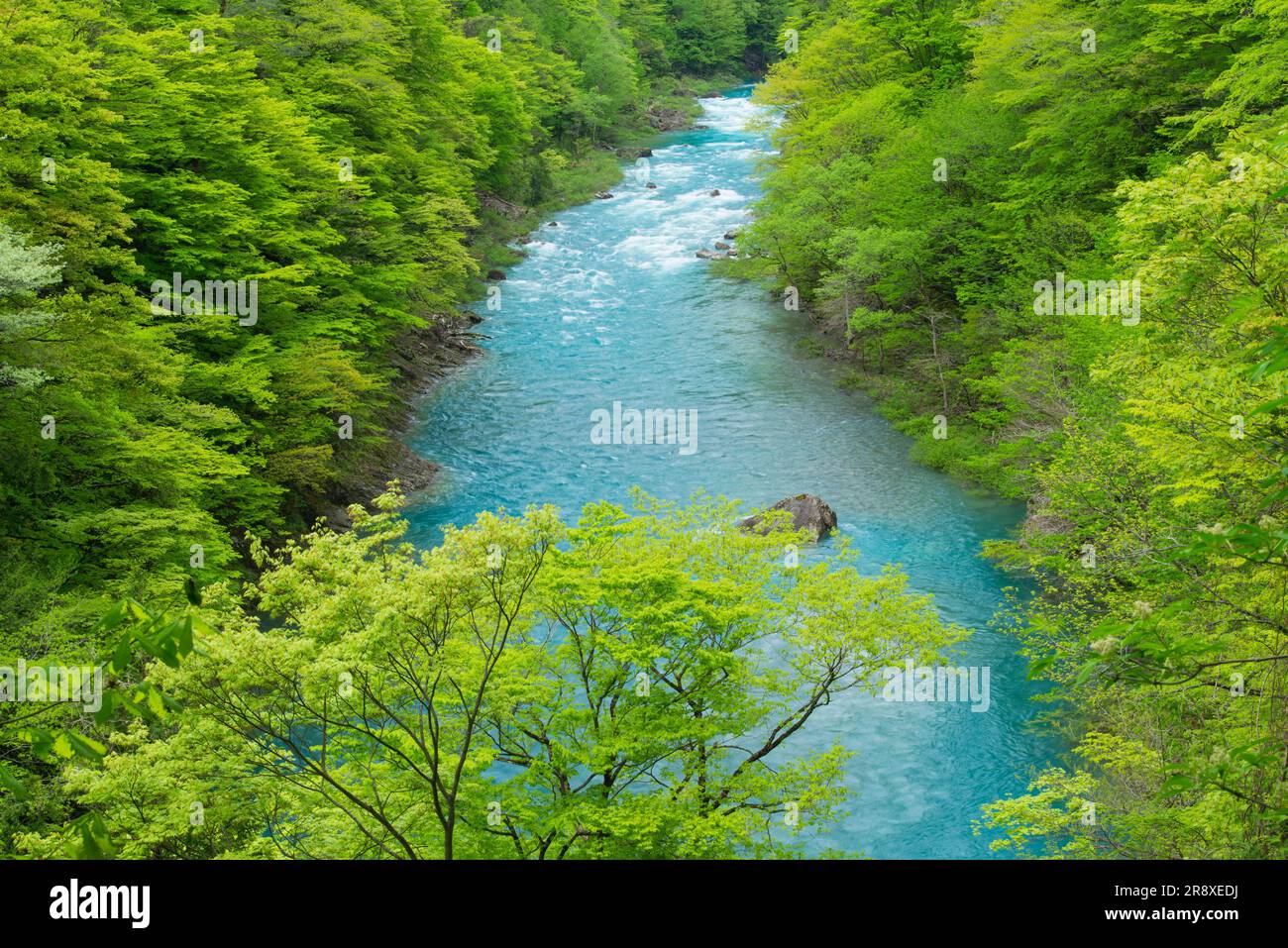 Vallée de Dakigaeri Banque D'Images