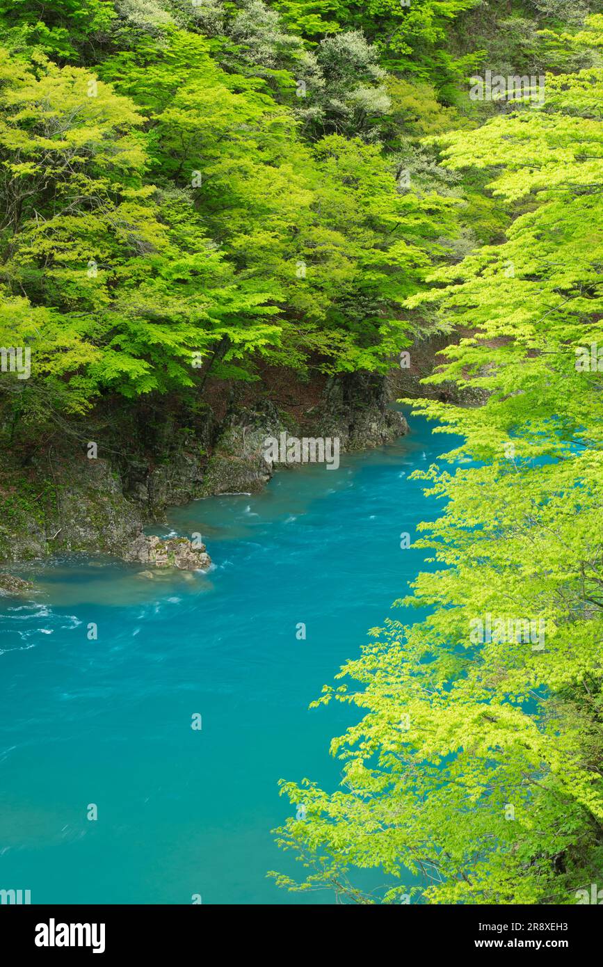 Vallée de Dakigaeri Banque D'Images