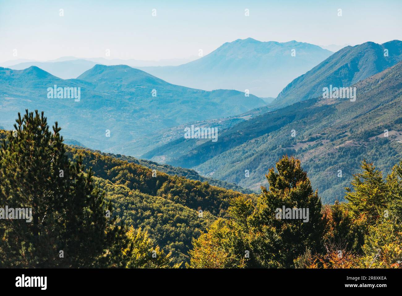 Brume estivale dans le parc national de Sharr Mountain, Kosovo Banque D'Images