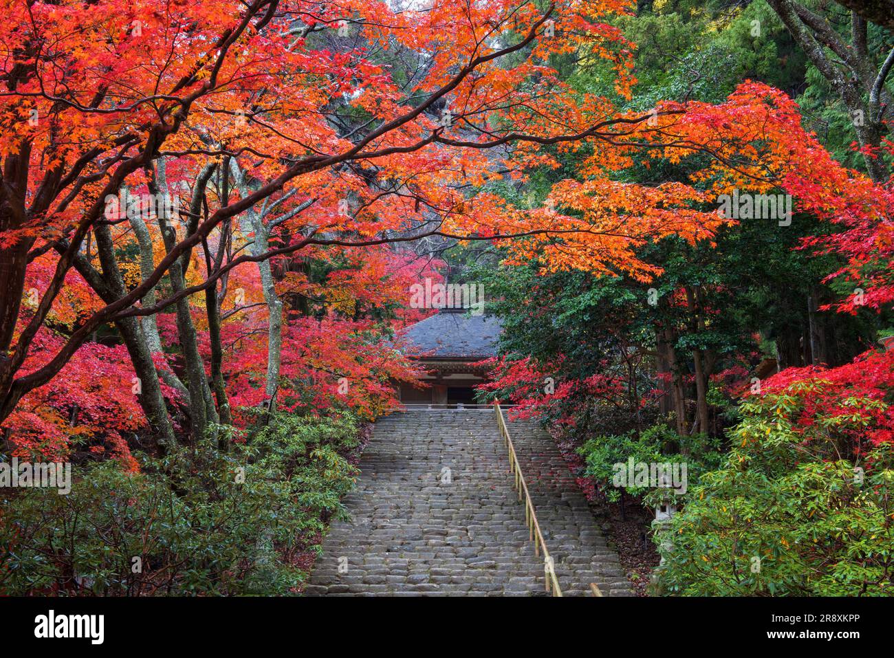 Temple Muroji Banque D'Images