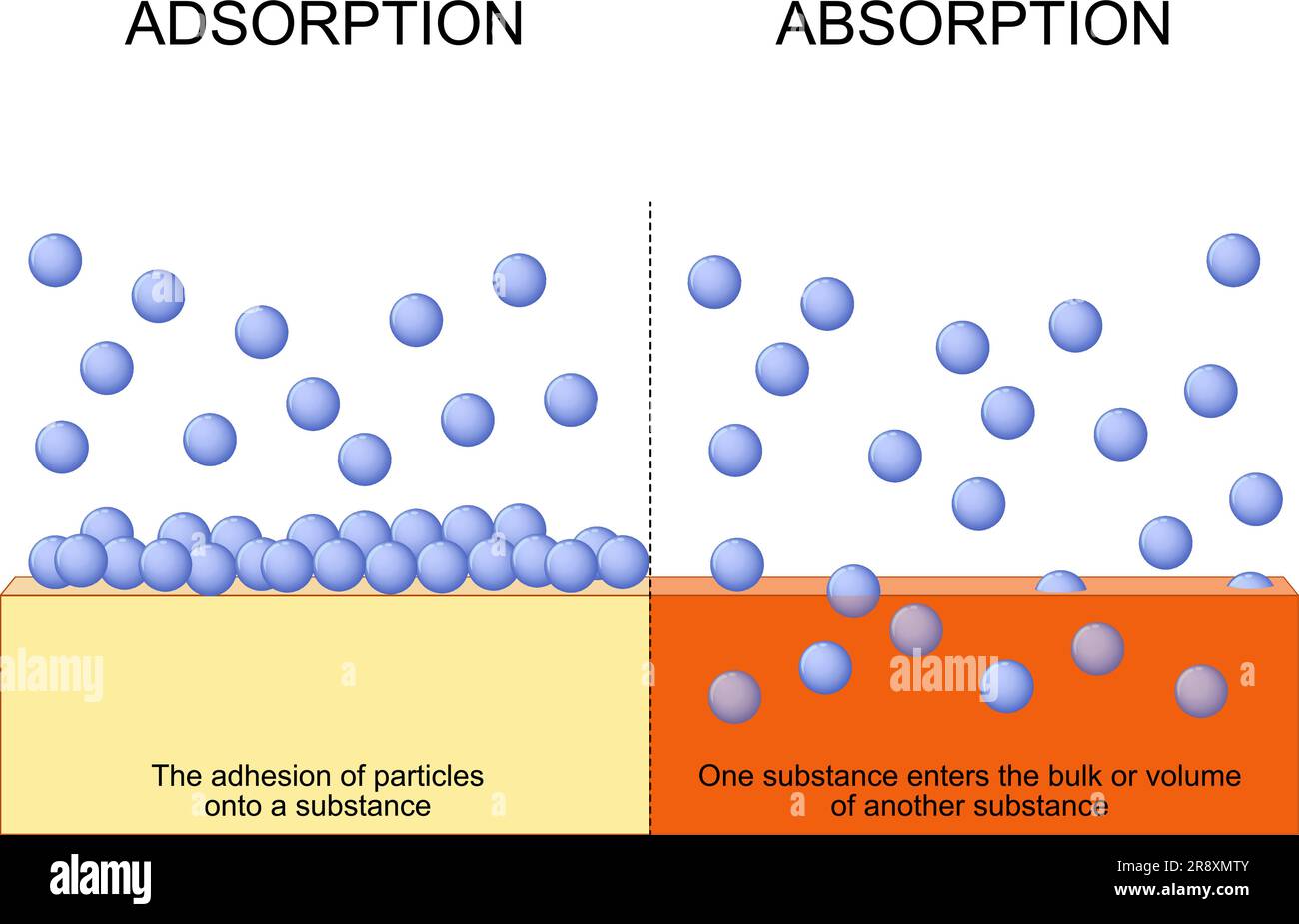 Différence entre l'adsorption et l'absorption. Absorption - une substance entre dans la masse ou le volume d'une autre substance. Adsorption - l'adhésion de Illustration de Vecteur