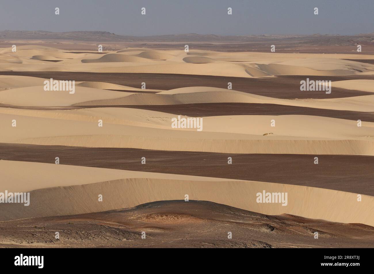 Dunes de sable, Camp de Skeleton Coast, Wilderness Safaris, Parc national de Skeleton Coast, Kaokoland, région de Kunene, Namibie Banque D'Images