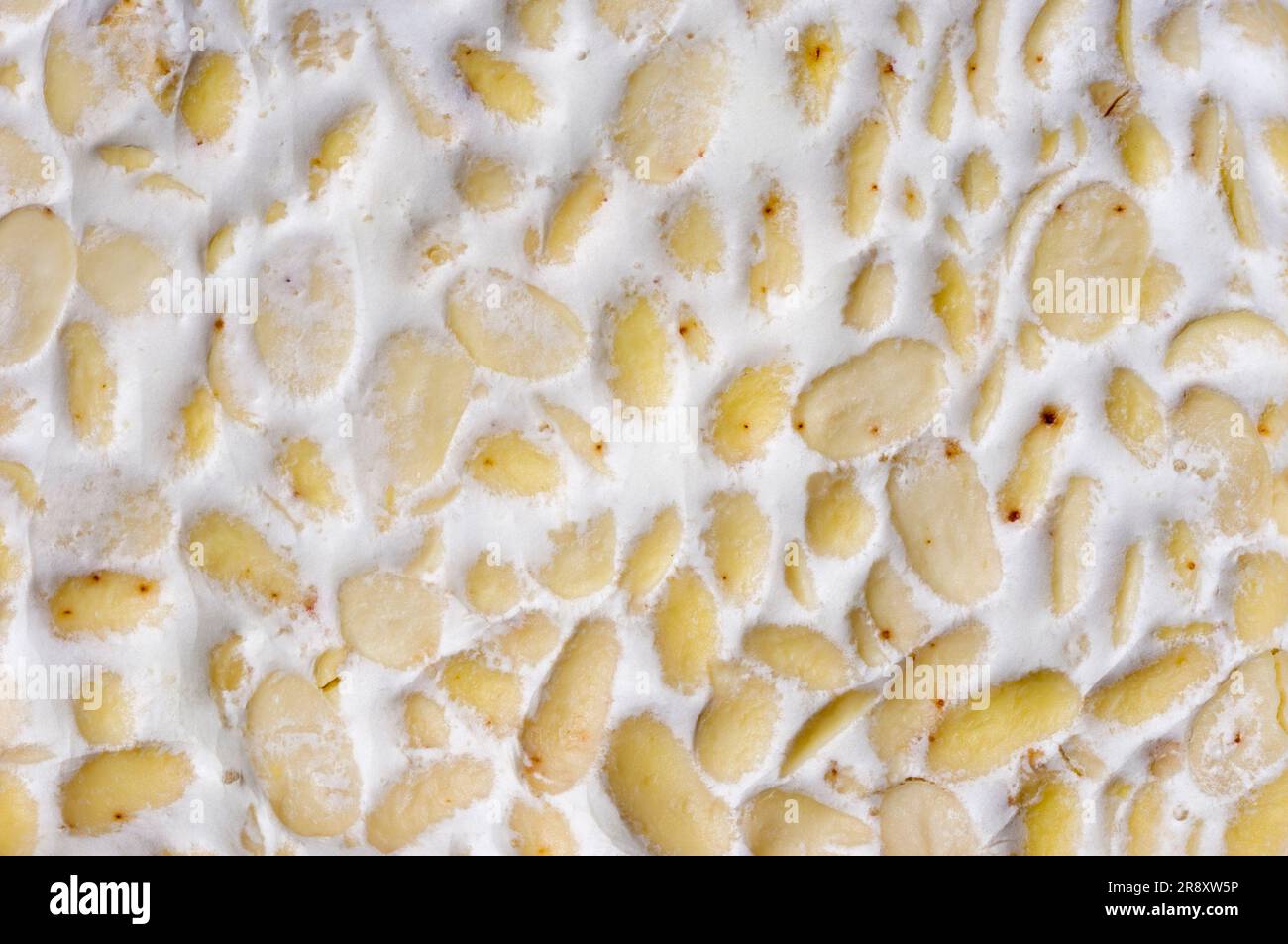 Tempeh, cuisine indonésienne traditionnelle Banque D'Images