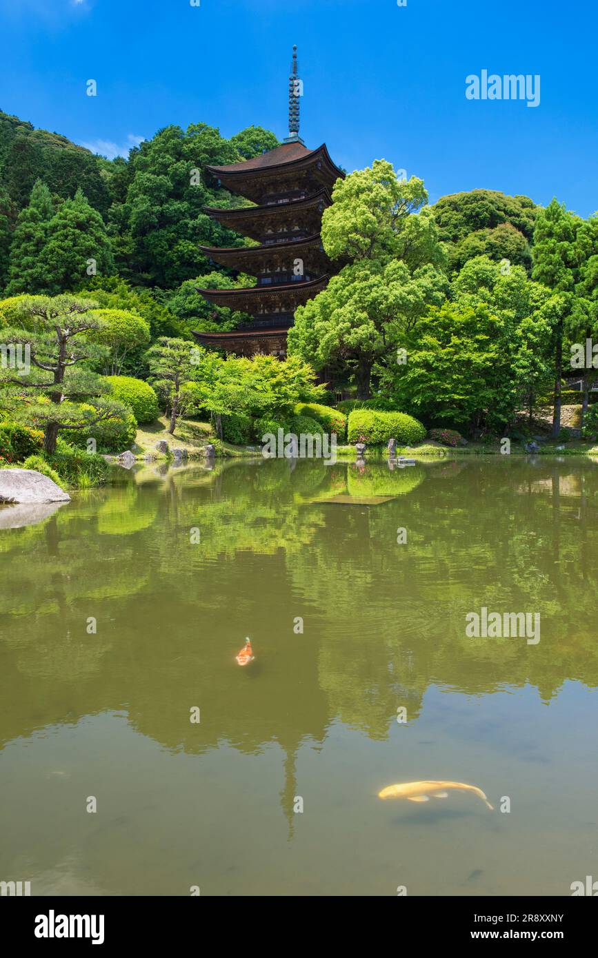 Pagode de cinq étages Ruriko-ji Banque D'Images