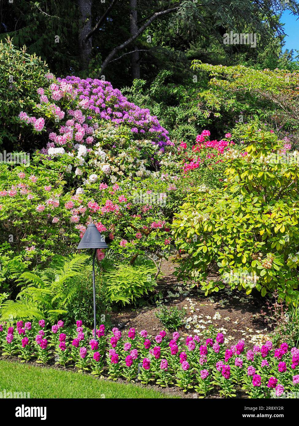 Magnifique jardin botanique de Butchant, situé dans la baie Brentwood, sur l'île Victoria Colombie-Britannique Canada Banque D'Images