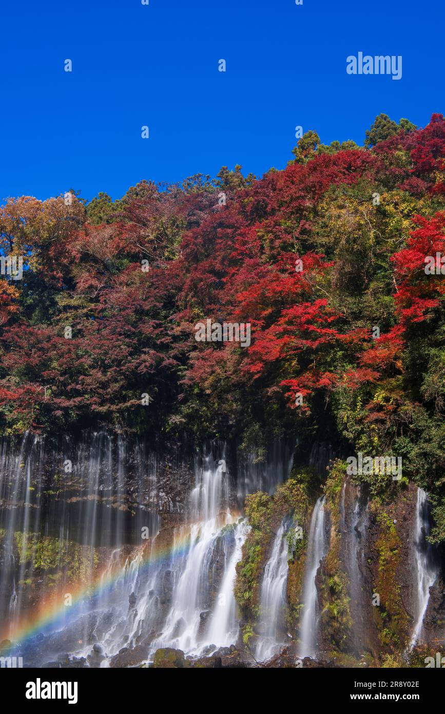 Chutes Shiraito en automne Banque D'Images