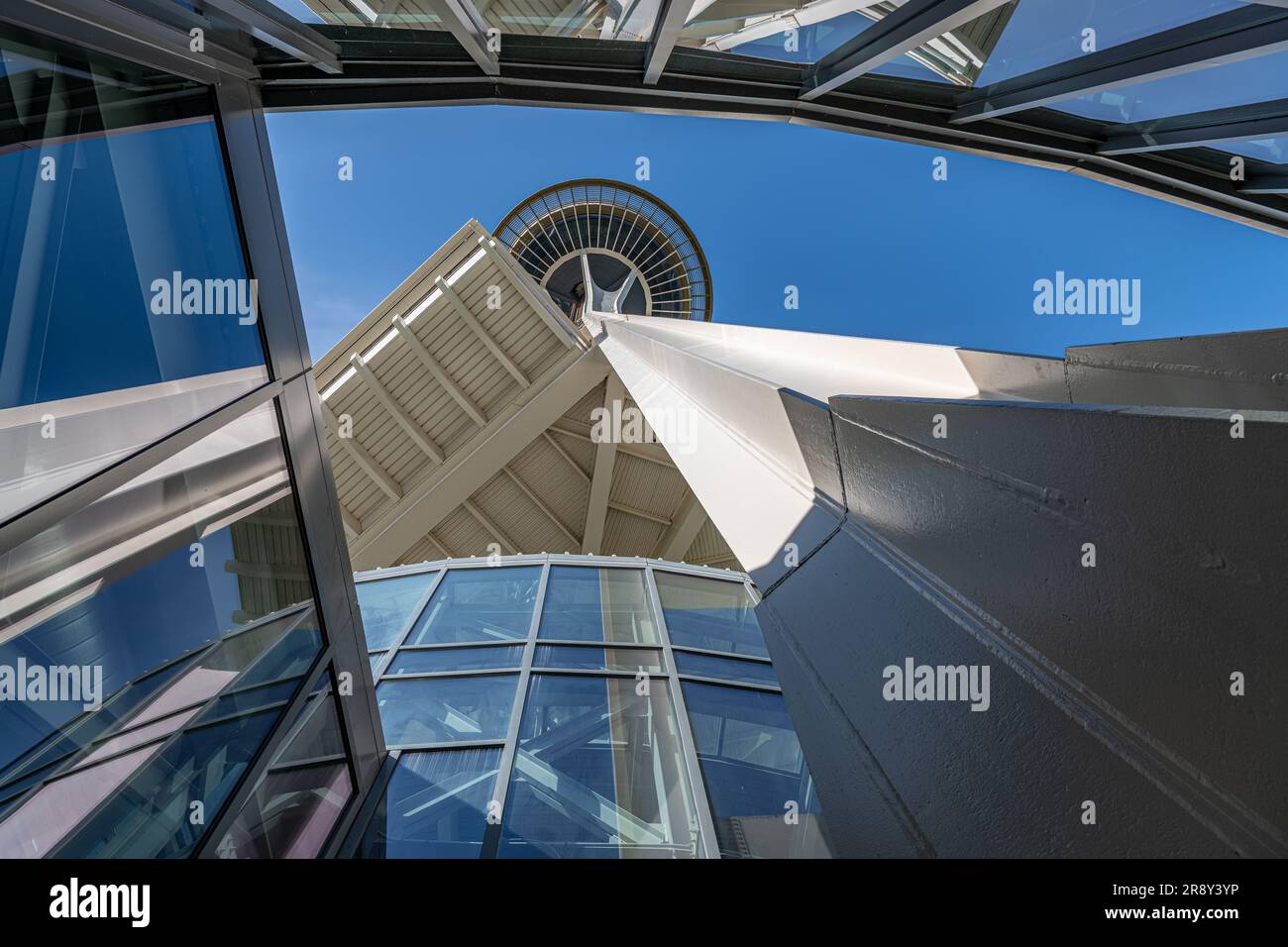 The Space Needle regardant à travers la canopée d'entrée, Seattle, Washington, Etats-Unis Banque D'Images