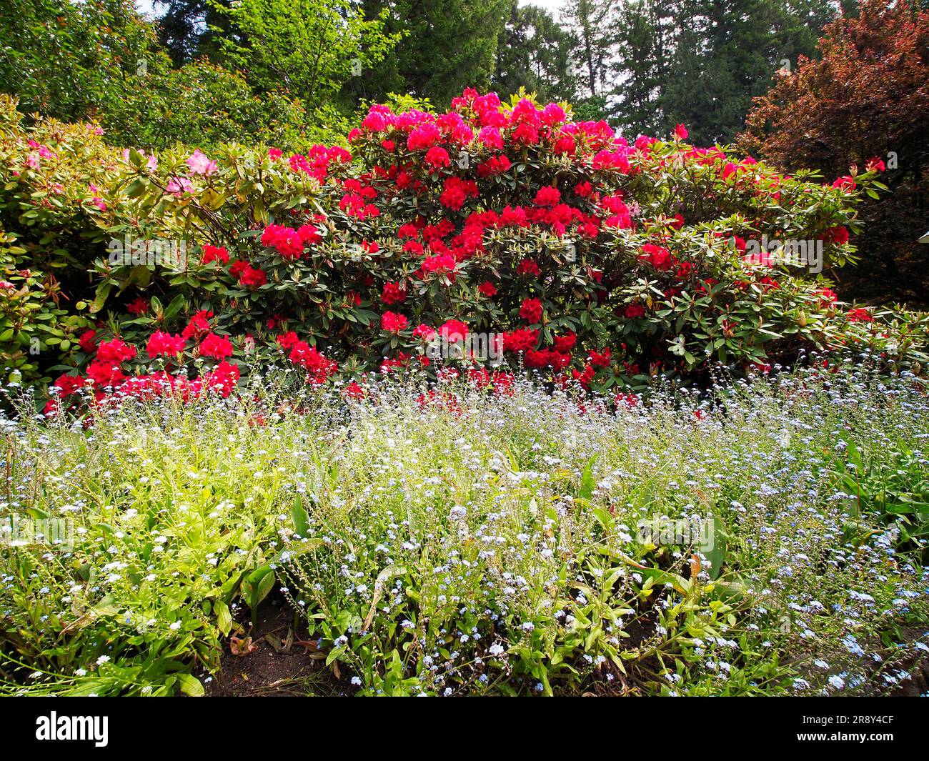 Magnifique jardin botanique de Butchant, situé dans la baie Brentwood, sur l'île Victoria Colombie-Britannique Canada Banque D'Images