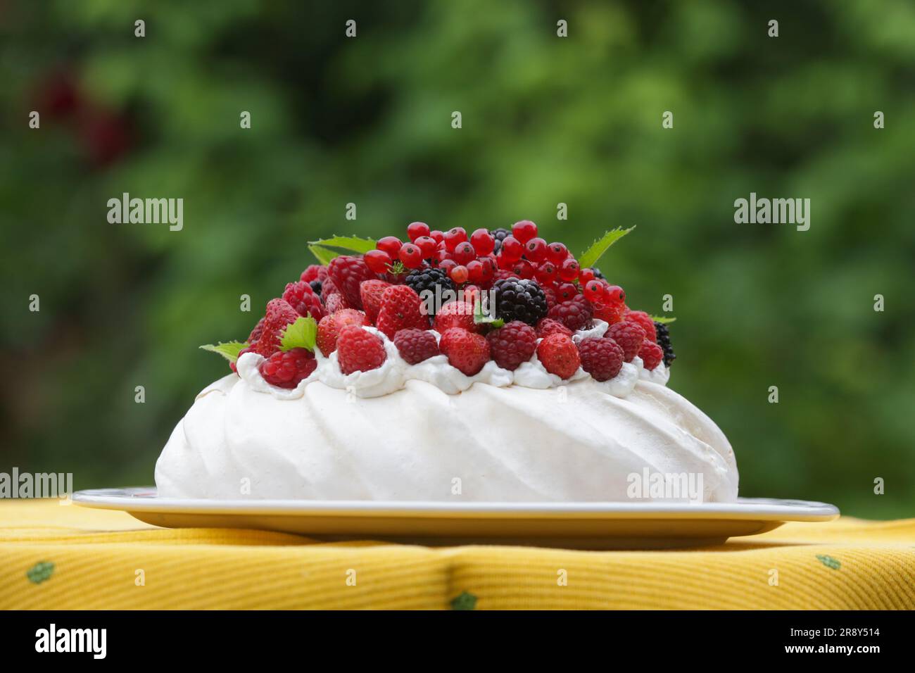 Gâteau Pavlova - un dessert à base de meringue avec fraises, mûres, framboises et feuilles de menthe Banque D'Images