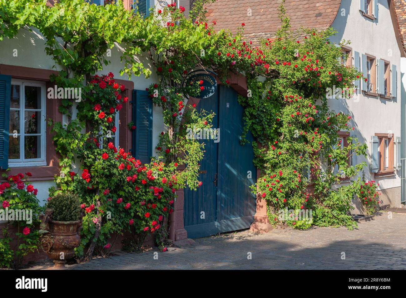 Façade de maison décorative dans la Theresienstrasse historique, Rhodt unter Rietburg, Palatinat, Rhénanie-Palatinat, Allemagne, Europe Banque D'Images